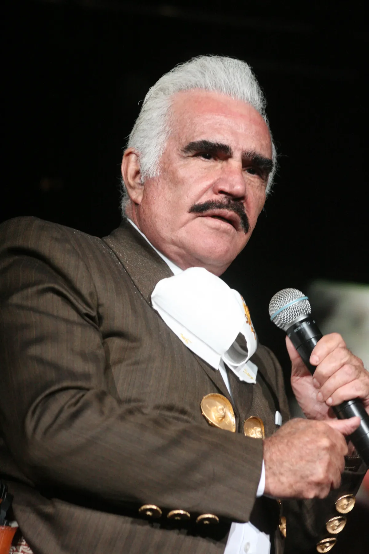 Vicente Fernández — El Rey
