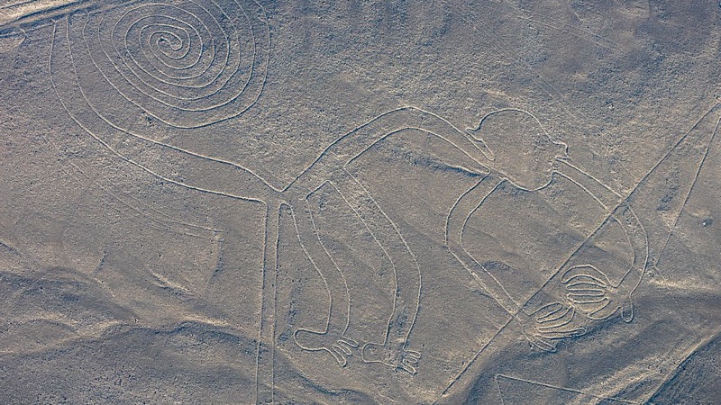 Nazca Çizgileri - Maymun, Peru