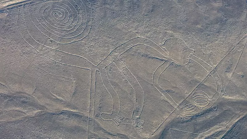 Nazca Çizgileri - Maymun, Peru